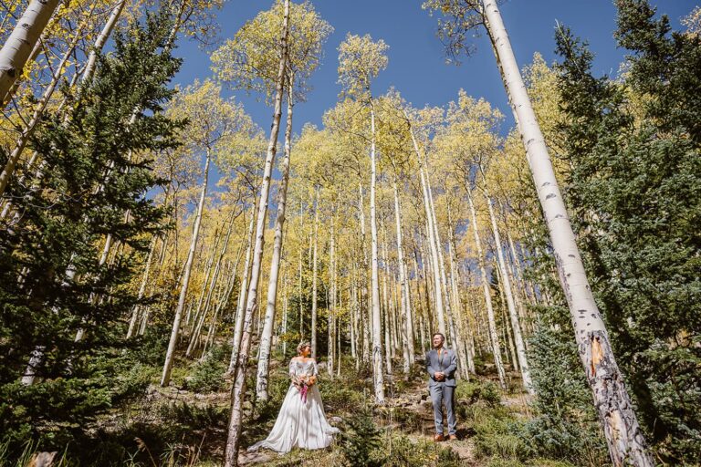 Couple beneath some aspen trees at their elopement.